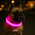 pimg_162bd11c8551e8e68f72